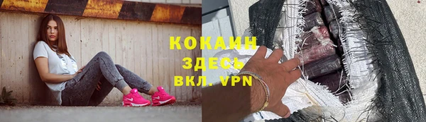 гашик Алзамай