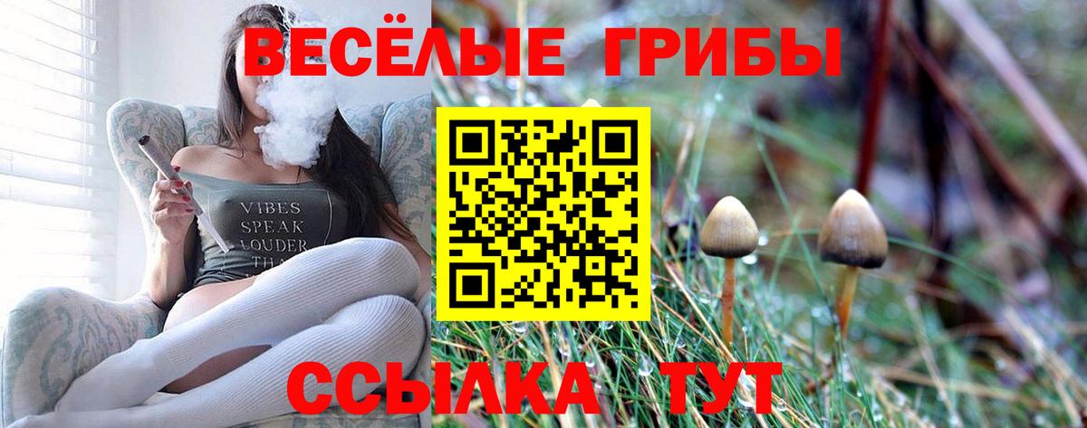 Кингисепп  Псилоцибиновые грибы ЛСД  Вход с VPN 